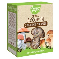 Dried mushrooms FOREST LANDS Assorted with porcini mushrooms (cardboard), 45 g