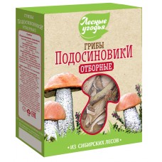 Dried mushrooms FOREST LANDS Boletus (cardboard), 45 g